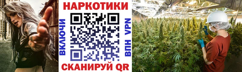 Купить наркоту Сосновый Бор Кетамин  A-PVP  Cocaine  Меф мяу мяу  Канабис  ГАШИШ 