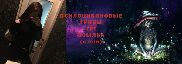 МДПВ Арсеньев