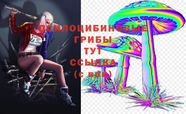 a pvp Аркадак