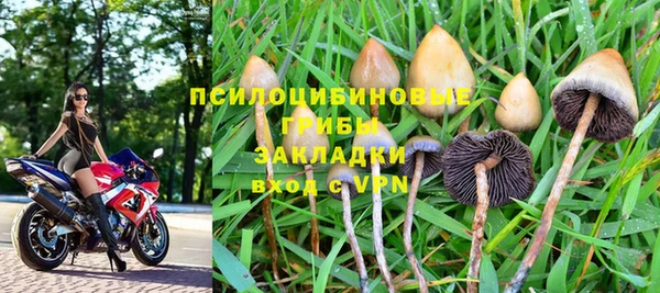 марки lsd Нязепетровск
