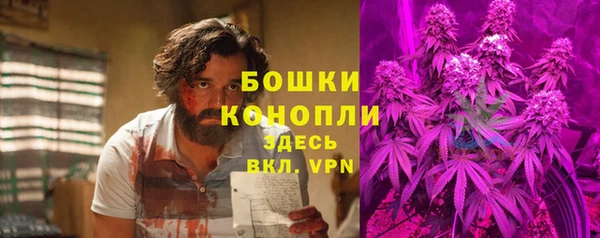 a pvp Аркадак