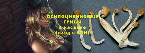 a pvp Аркадак